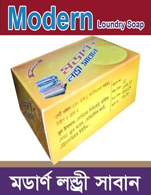 Modern Laundry Soap (100 gm)